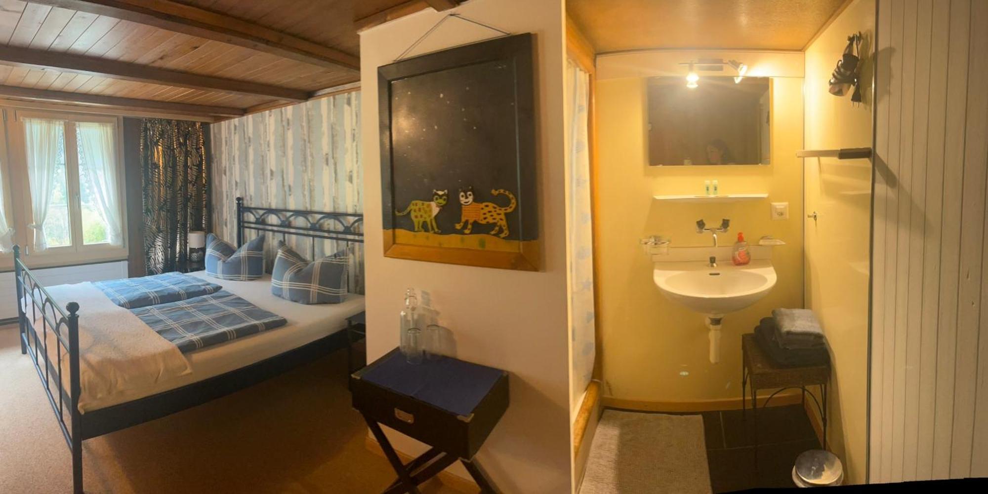 "Terrasse" Nessental Hotel Gadmen Bagian luar foto